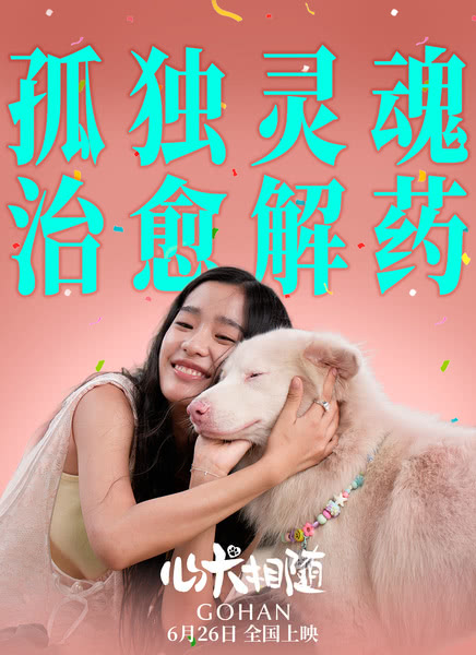 心犬相随